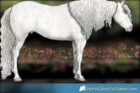 Horse Color:Chocolate Palomino Ice Pearl Sabino Appaloosa Rabicano  Brindle