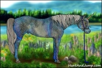 Horse Color:Chocolate Palomino Ice Sabino Rabicano Brindle