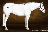 Horse Color:Chocolate Palomino Pearl Sabino Varnish Rabicano  Brindle