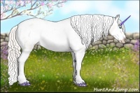 Horse Color:Chocolate Palomino Pearl Sabino Splash Varnish Rabicano  Brindle
