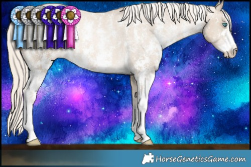 Horse Color:Chocolate Palomino Pearl Mushroom Sabino Varnish Rabicano Brindle