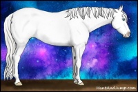 Horse Color:Chocolate Palomino Pearl Sabino Appaloosa Rabicano Brindle