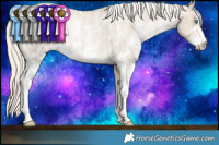 Horse Color:Chocolate Palomino Pearl Mushroom Sabino Appaloosa Rabicano  Brindle