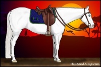 Horse Color:Chocolate Palomino Pearl Sabino Appaloosa Rabicano  Brindle