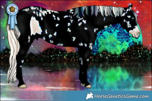 Horse Color:ERROR: UNKNOWN ANOMALY Brindle