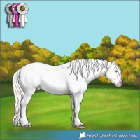 Horse Color:Chocolate Palomino Pearl Mushroom Sabino Appaloosa Rabicano Brindle