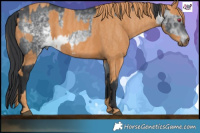 Horse Color:Brown Chinchilla Rabicano  Brindle