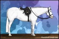 Horse Color:Chocolate Palomino Pearl Sabino Appaloosa Rabicano Brindle