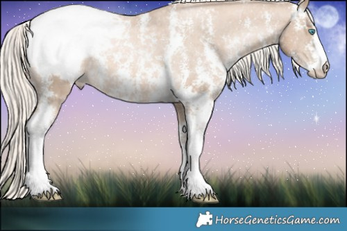 Horse Color:Chocolate Palomino Pearl Sabino Appaloosa Rabicano  Brindle