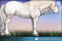 Horse Color:Chocolate Palomino Pearl Sabino Appaloosa Rabicano  Brindle