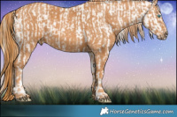Horse Color:Chocolate Palomino Pearl Sabino Appaloosa Rabicano  Brindle