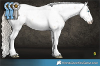 Horse Color:Chocolate Palomino Pearl Sabino Rabicano  Brindle