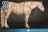 Horse Color:Chocolate Palomino Pearl Sabino Rabicano Brindle