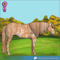 Horse Color:Chocolate Palomino Chinchilla Pearl Mushroom Sabino Rabicano  Brindle