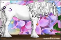 Horse Color:Chocolate Palomino Pearl Sabino Appaloosa Rabicano  Brindle