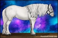 Horse Color:Chocolate Palomino Pearl Sabino Appaloosa Rabicano  Brindle