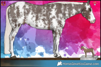Horse Color:Liver Chestnut Mushroom Sabino Appaloosa Rabicano  Brindle