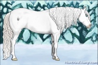 Horse Color:Chocolate Palomino Pearl Sabino Appaloosa Rabicano  Brindle