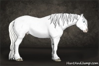Horse Color:Chocolate Palomino Ice Pearl Mushroom Sabino Tobiano Varnish Rabicano  Brindle