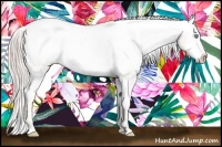 Horse Color:Chocolate Palomino Pearl Sabino Varnish Rabicano  Brindle