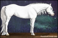 Horse Color:Chocolate Palomino Pearl Sabino Appaloosa Rabicano  Brindle