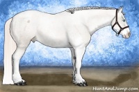 Horse Color:Chocolate Palomino Pearl Sabino Appaloosa Rabicano  Brindle