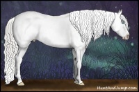 Horse Color:White Spotted Chocolate Palomino Pearl Sabino Appaloosa Rabicano Brindle