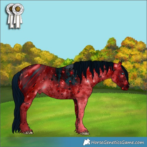 Horse Color:ERROR: UNKNOWN ANOMALY Brindle