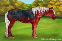 Horse Color:ERROR: UNKNOWN ANOMALY Brindle