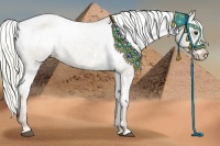 Horse Color:Liver Red Dun Sabino Appaloosa Rabicano Brindle