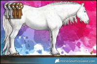 Horse Color:White Spotted Chocolate Palomino Pearl Mushroom Sabino Rabicano  Brindle