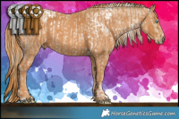 Horse Color:White Spotted Chocolate Palomino Pearl Mushroom Sabino Rabicano Brindle