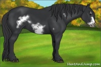 Horse Color:Black Frame 
