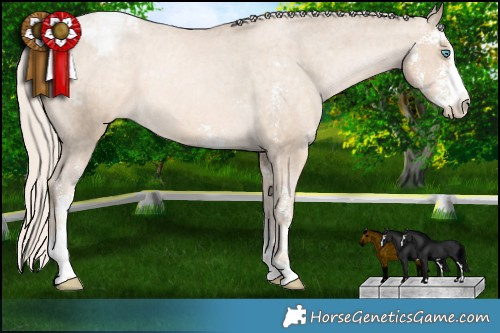 Horse Color:Chocolate Palomino Pearl Mushroom Sabino Appaloosa Rabicano  Brindle