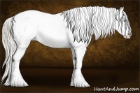 Horse Color:Chocolate Palomino Pearl Sabino Appaloosa Rabicano  Brindle