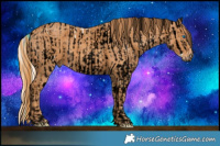 Horse Color:ERROR: UNKNOWN ANOMALY Brindle