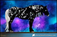 Horse Color:ERROR: UNKNOWN ANOMALY Brindle