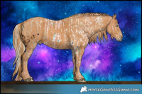 Horse Color:ERROR: UNKNOWN ANOMALY Brindle