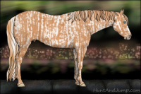 Horse Color:Chocolate Palomino Pearl Sabino Splash Appaloosa Rabicano  Brindle