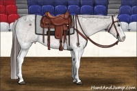 Horse Color:White Spotted Bay Ice Appaloosa Rabicano