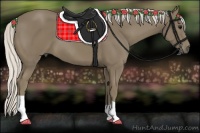 Horse Color:Silver Smoky Black 