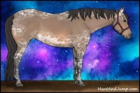 Horse Color:Buckskin Ice 
