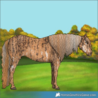 Horse Color:Liver Chestnut Mushroom Splash Brindle