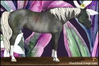 Horse Color:Liver Chestnut Rabicano