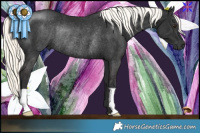 Horse Color:Liver Chestnut Mushroom Rabicano 