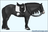 Horse Color:Liver Chestnut Frame 