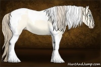 Horse Color:Perlino Dun Tobiano 