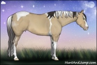 Horse Color:Sable Champagne Roan Dun Splash Tobiano 