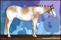 Horse Color:White Spotted Bay Pearl