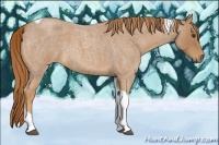 Horse Color:Red Roan Tobiano 